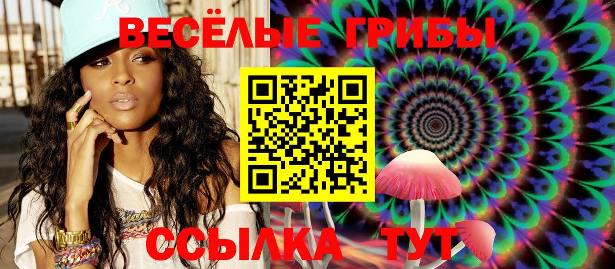 где найти   Вход с VPN  Тара  Галлюциногенные грибы Psilocybe 