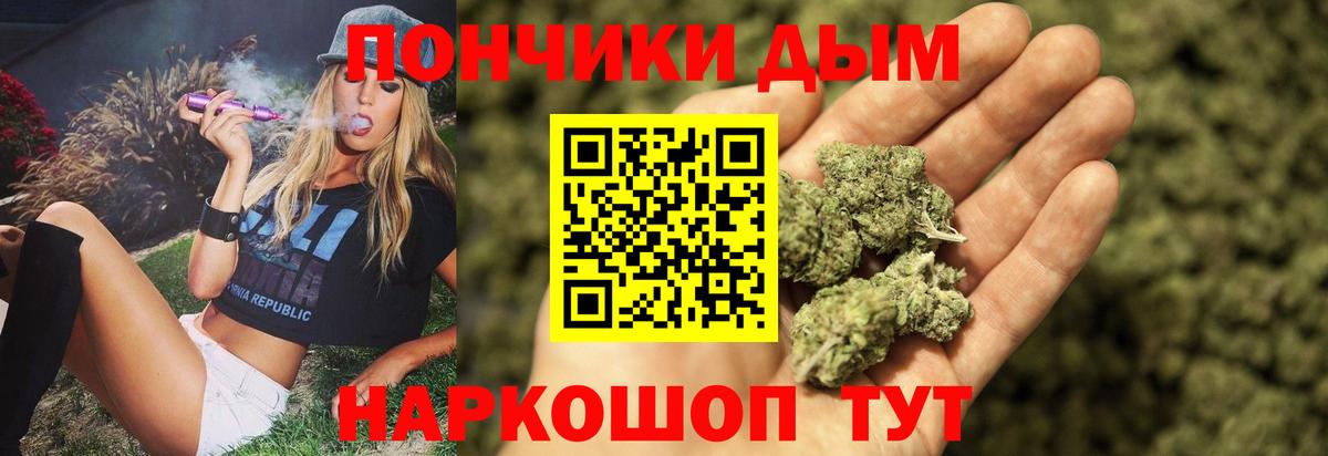 Конопля план  Вход с VPN  Бошки марихуана конопля  Тара  Конопля конопля 
